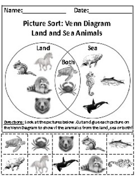 Preview of Land and Sea Animals Picture Sort Graph Activity - Aligned to RI.K.7 , RI.K.9