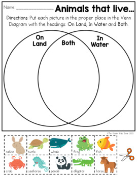 Land and Sea Animals Venn Diagram Worksheet by The Kinder Kids | TPT