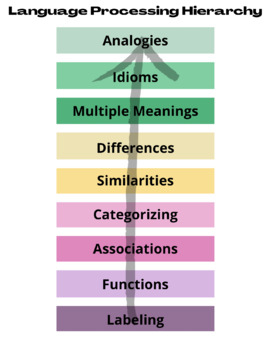 Language Processing Hierarchy By Kelsey Malone Tpt