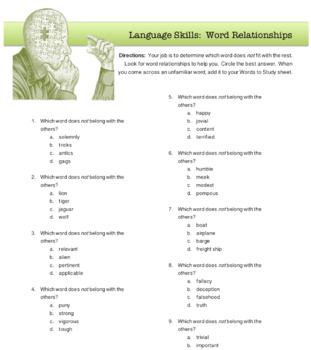 Preview of Language Skills:  Word Relationships