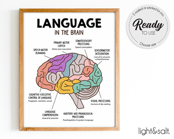 Preview of Language in the brain poster, SLP poster, speech therapy room decor