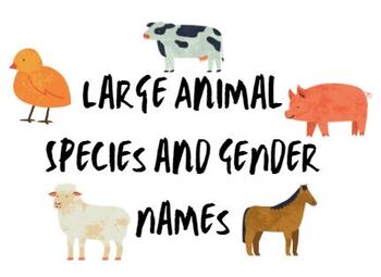 Preview of Large Animal Species and Gender Names Review