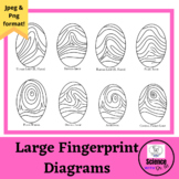 Large Fingerprint Diagrams- Perfect for Forensics or Creat