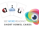 Large Letter and Sound Flashcards - Short Vowels with Phot
