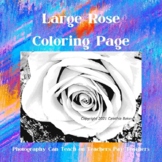 Large Rose Coloring Page | Jr. High and High School