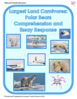 Preview of Largest Land Carnivores: Polar Bears Comprehension and Essay: GR4