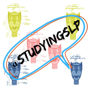 Preview of Larynx (Yellow, Pink and Blue)