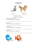 Las Mascotas - Pets : Worksheet for Homeschool Moms