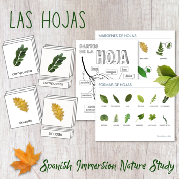 Preview of Las hojas - Spanish Immersion Nature Study - Montessori Three-Part Cards & More