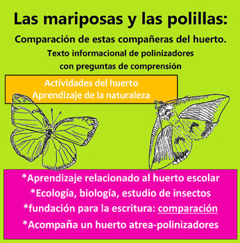 Preview of Las mariposas y las polillas: comparación de polinizadores en el huerto