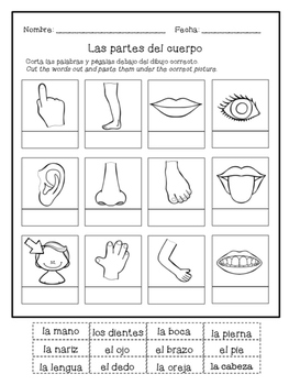 Las partes del cuerpo - Spanish cut and paste activity ...