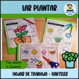Las plantas | Plants in spanish