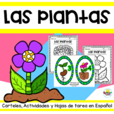 Las plantas hojas de tarea | Plants Spanish Worksheets