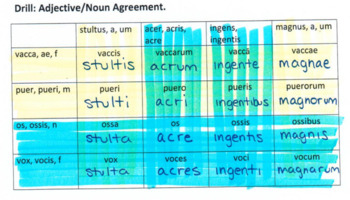 Preview of Latin Adjective/Noun Agreement