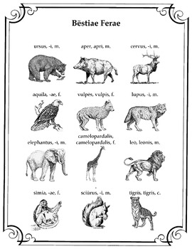 Preview of Latin Animal Vocabulary