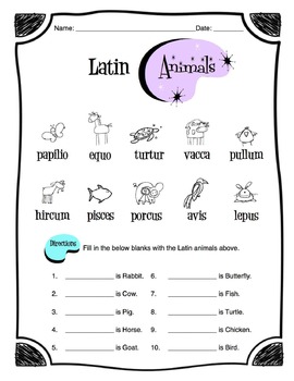 Preview of Latin Animals Worksheet Packet