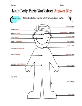 Body Parts In Latin 55