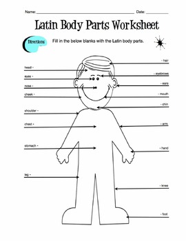 Preview of Latin Body Parts Label Worksheet & Answer Key
