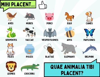 Preview of Latin Chat Mat: "What animals do you like?" Classroom Conversation