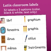 Latin Classroom Labels | Decor for a Language-Rich Latin E