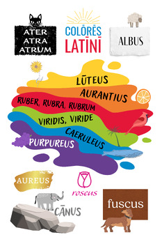 Preview of Latin Colors Poster (Colores Latini)