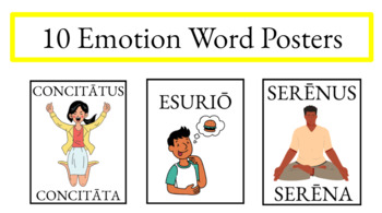 Preview of Latin Feeling and Emotion Words Posters (Classroom Decor) - Plain border