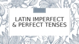 Latin Imperfect & Perfect Tenses