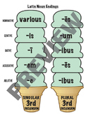 Latin Noun Endings - 3rd Declensions