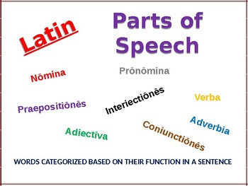 Preview of Latin Parts of Speech Posters