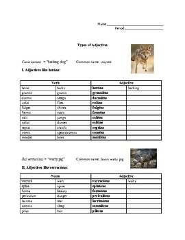 Preview of Latin Scientific Names for Animals ACTIVITY