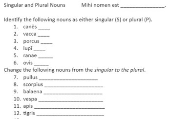 Preview of Latin Singular and Plural Nouns with Animals