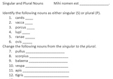 Latin Singular and Plural Nouns with Animals