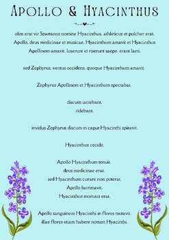 Preview of Latin Story Translation and Questions: Apollo and Hyacinthus Myth