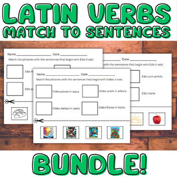 Preview of 4 Latin Language Worksheets - Match Picture to Sentence Translate Activities