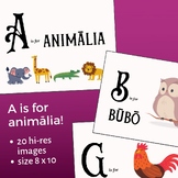 Latin alphabet animal cards: A is for animalia | Latin cla