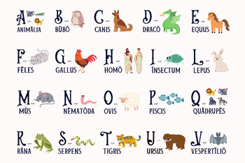 Preview of Latin alphabet animal poster: A is for animalia | Latin classroom decor