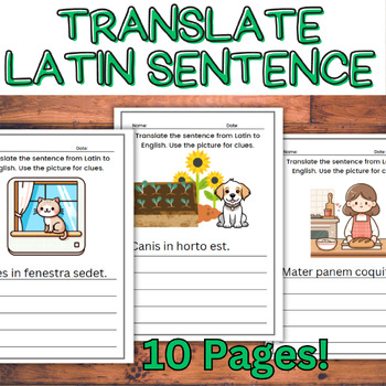 Preview of Latin Language to English: 10 Translation Worksheets for Beginners