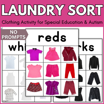 https://ecdn.teacherspayteachers.com/thumbitem/Laundry-Sorting-Activity-Special-Education-Life-Skills-5305440-1690265317/original-5305440-1.jpg