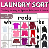 Laundry Sorting Activity for Autism Special Education Life