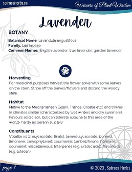 Preview of Lavender ~ Lavandula angustifolia Herbal Mini-Book (Monograph)