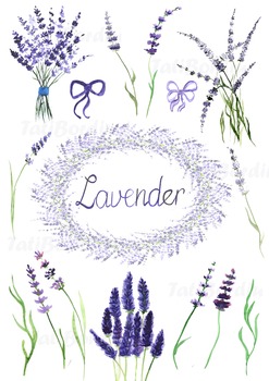 Preview of Lavender Watercolor Clip Art