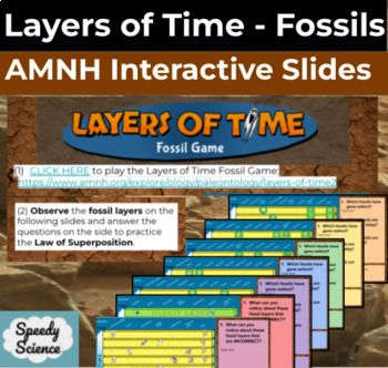 Layers Of Fossils Teaching Resources | TPT