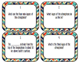 Layers of the Atmosphere task cards