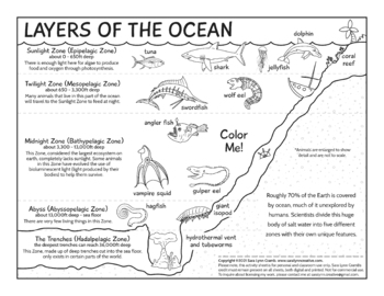 zones of the ocean teaching resources teachers pay teachers