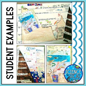 Ocean Zones Poster Project Layers Of The Ocean By Science Is Real