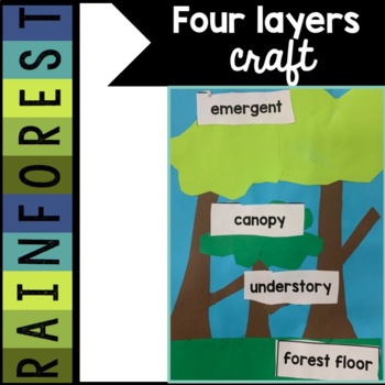 Preview of Layers of the Rainforest | Craft