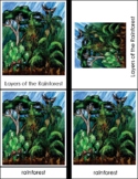 Layers of the Rainforest - Montessori 4 Part Cards
