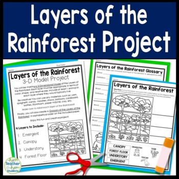 Layers of the Rainforest Project | 3-D Model of the Layers of the ...