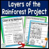 Layers of the Rainforest Project | 3-D Model of the Layers