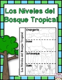 Layers of the Rainforest - Spanish